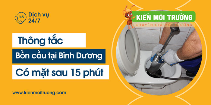 Dịch Vụ Thông Tắc Bồn Cầu Bình Dương Hiệu Quả, Sạch 100%