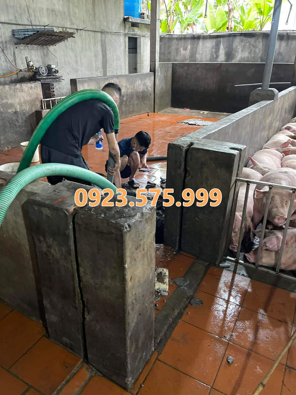 Hút hầm cầu Tiền Giang