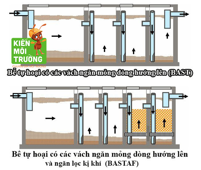 bể tự hoại cải tiến Bastaf