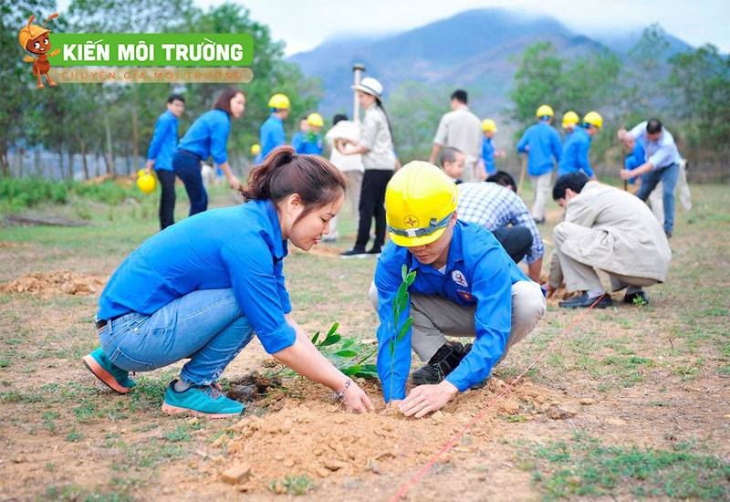 những việc làm bảo vệ môi trường